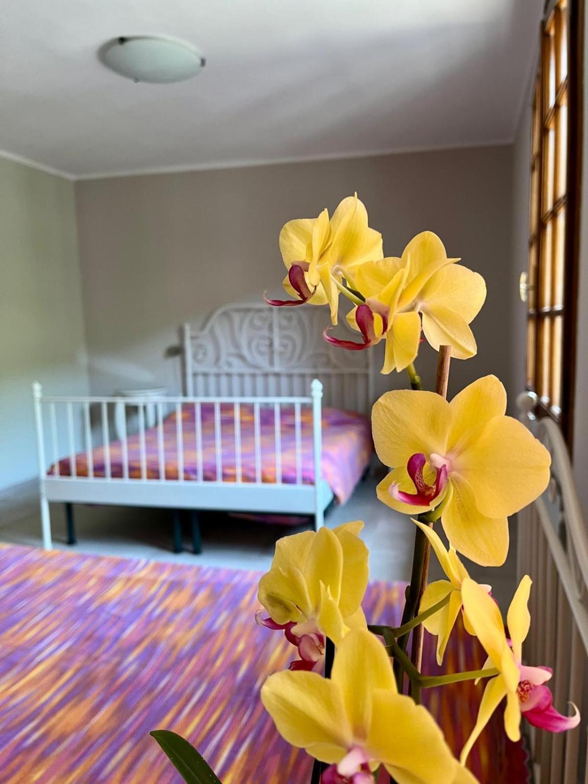 B&B Aria Di Lago Paratico Ngoại thất bức ảnh